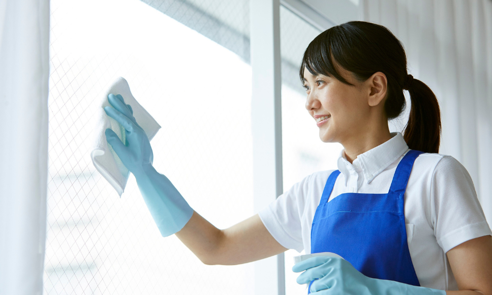 Como fazer faxina profissional